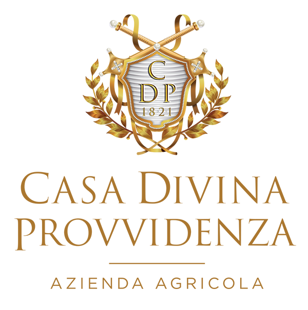 Divina Provvidenza Logo