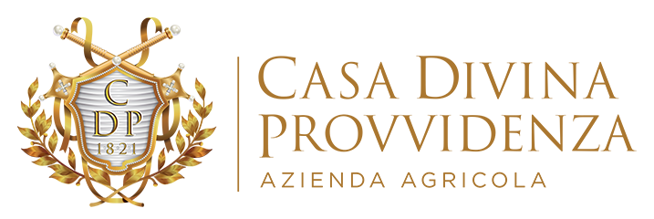 Casa Divina Provvidenza Logo